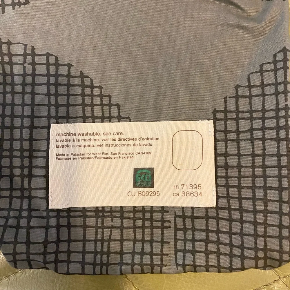West Elm Organic Fossil Euro Sham (NWOT)